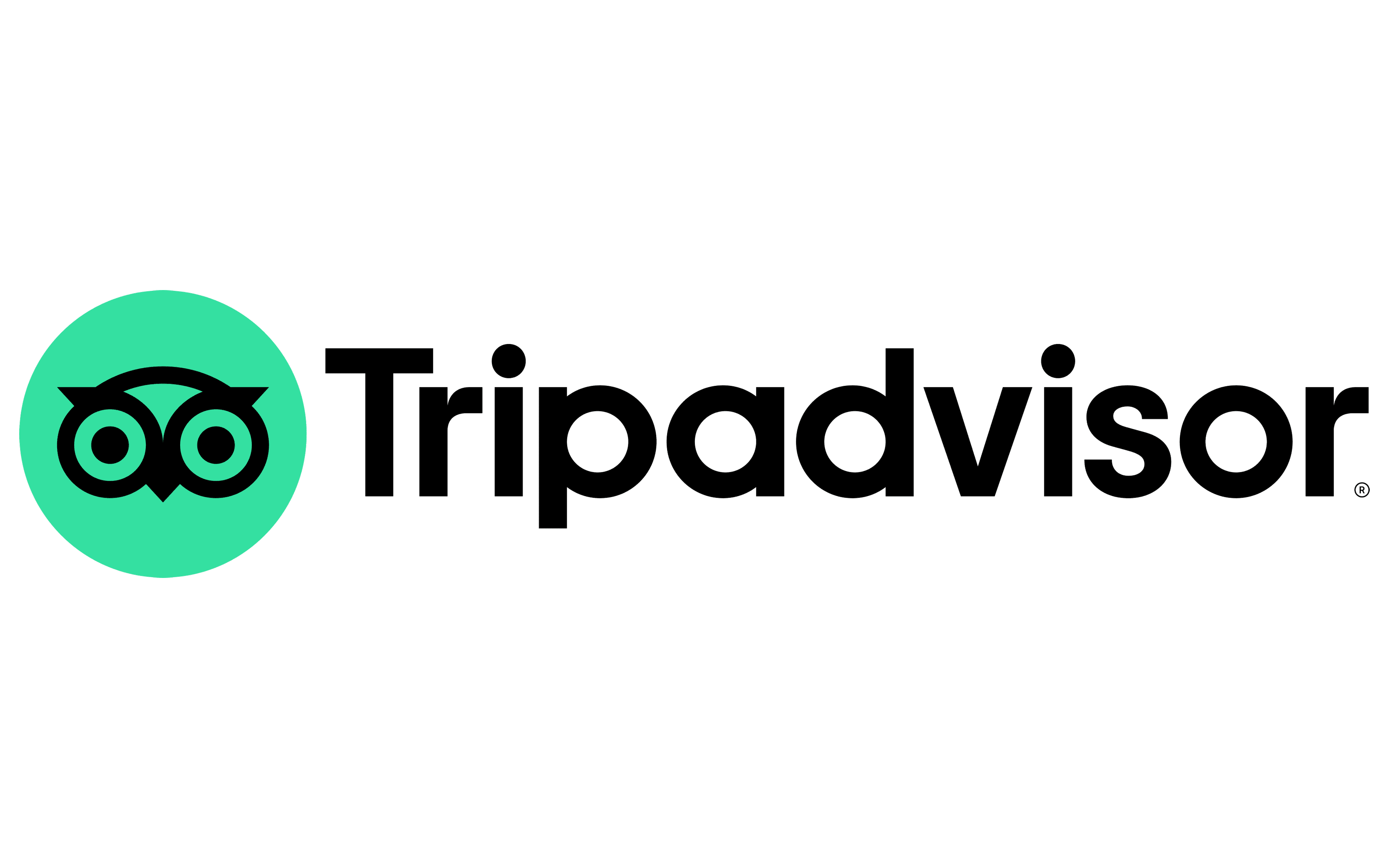 TripAdvisor logo